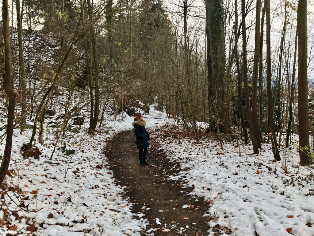 Around Fussen