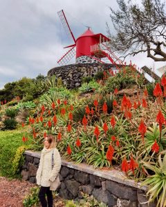 Travel Guide to Pico Island in Azores
