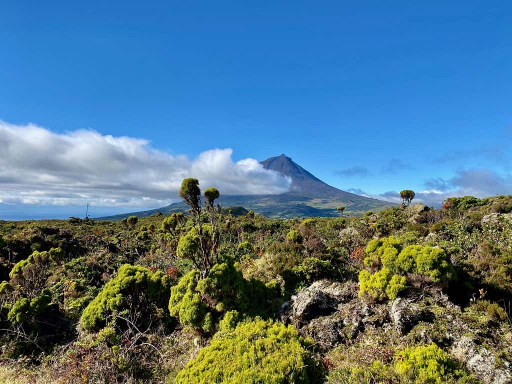 Travel Guide to Pico Island in Azores