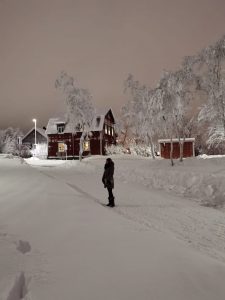 Kiruna Wooden House