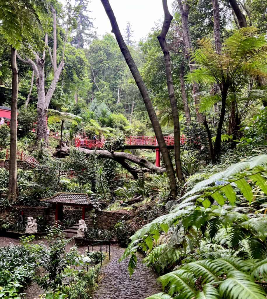 15 Madeira Bucket List Places
