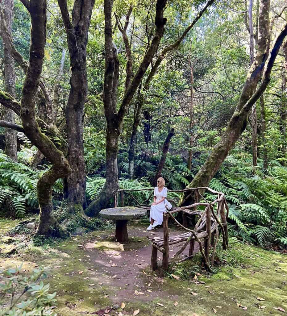 15 Madeira Bucket List Places