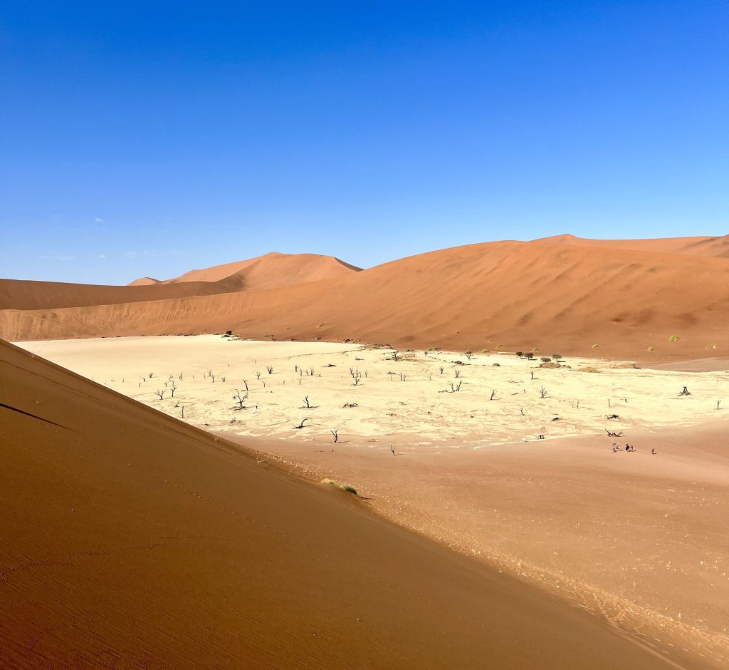 10 Namibia Bucket List Experiences