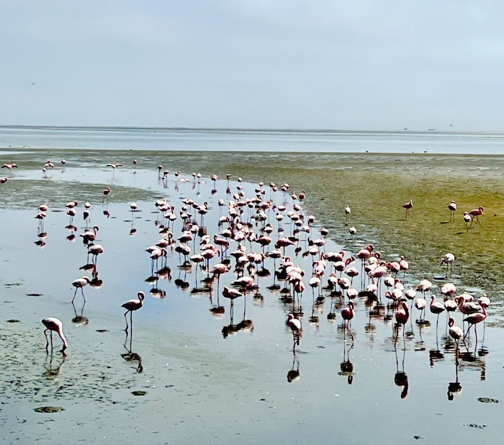 10 Namibia Bucket List Experiences