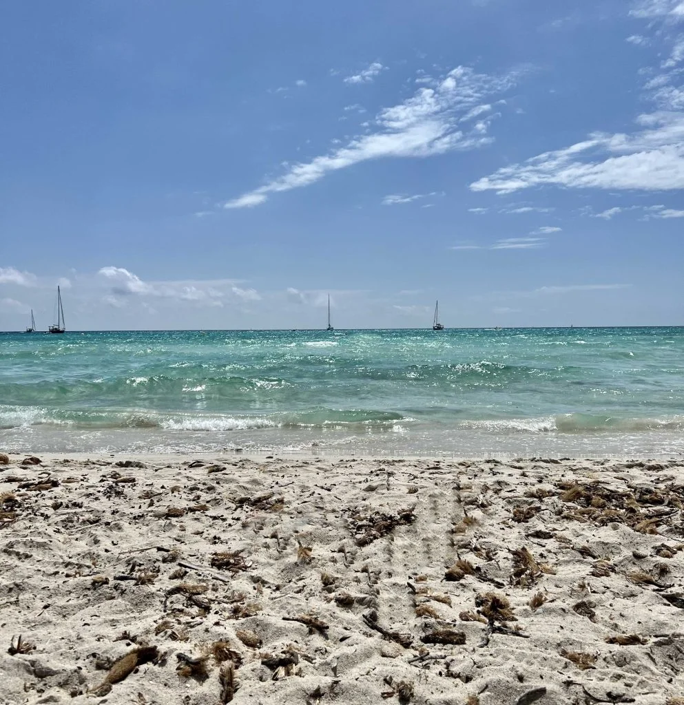 8 Top Places to Visit in Mallorca