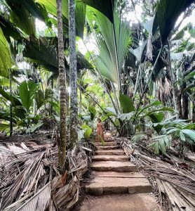 10 Seychelles Bucket List Experiences