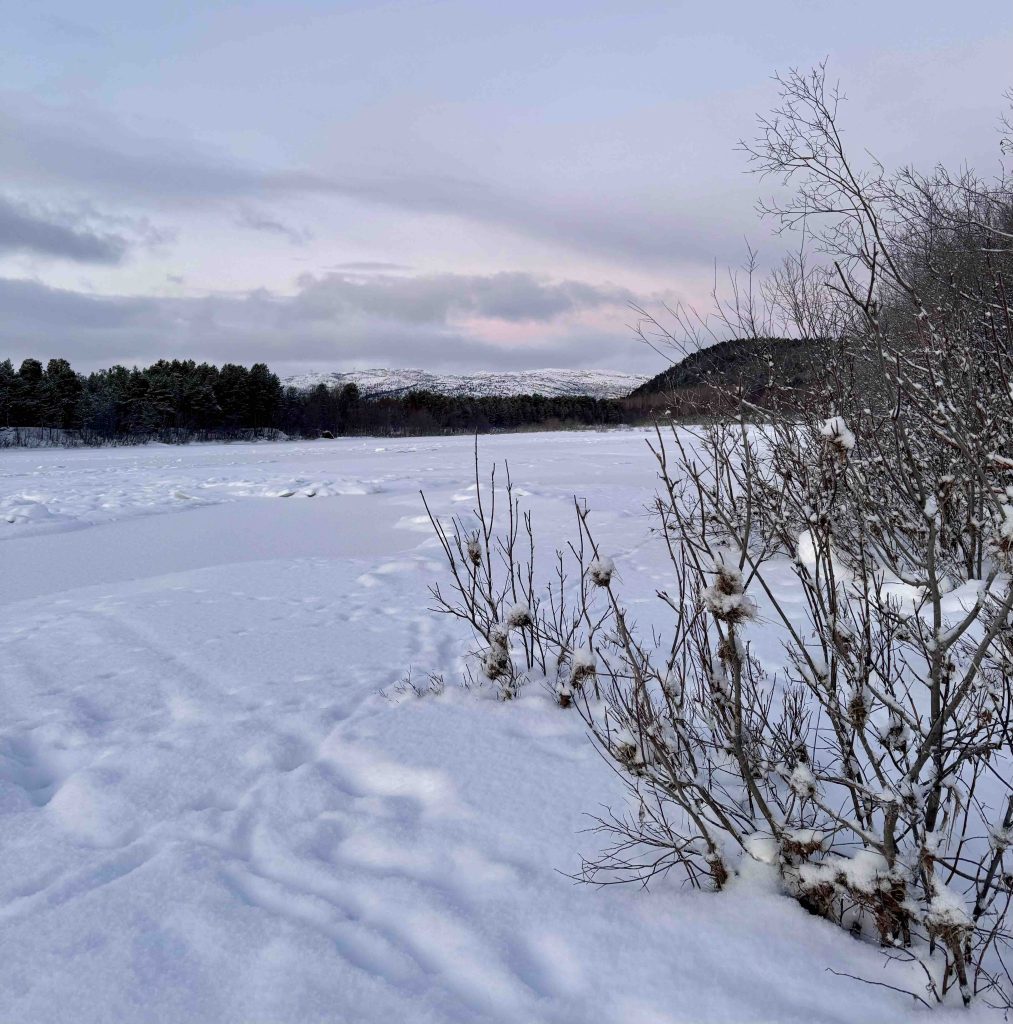 Discovering Alta, the City of the Northern Lights