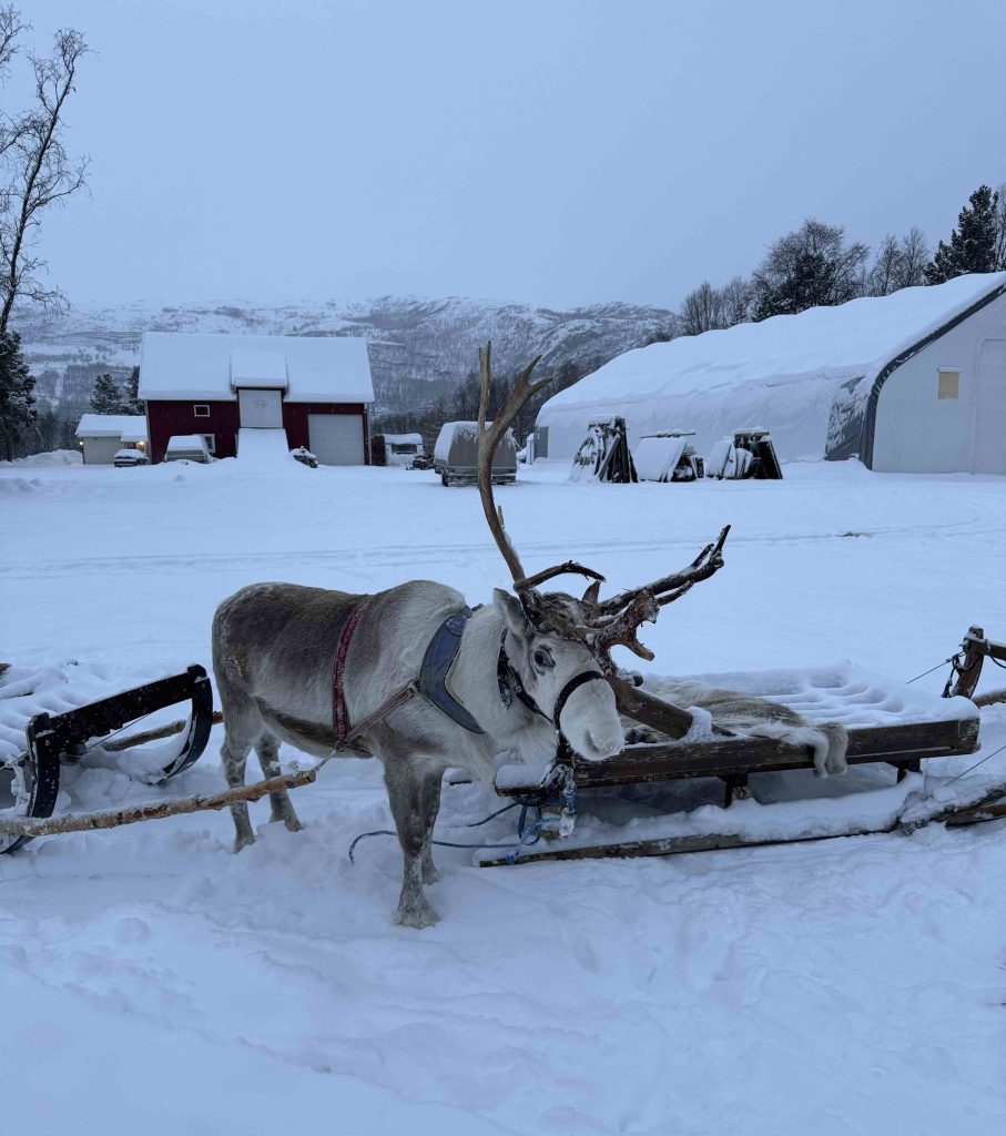 Discovering Alta, the City of the Northern Lights