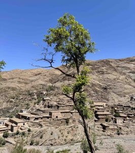 Epic Southern Morocco Road Trip