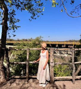 Views to Zambezi Bridge