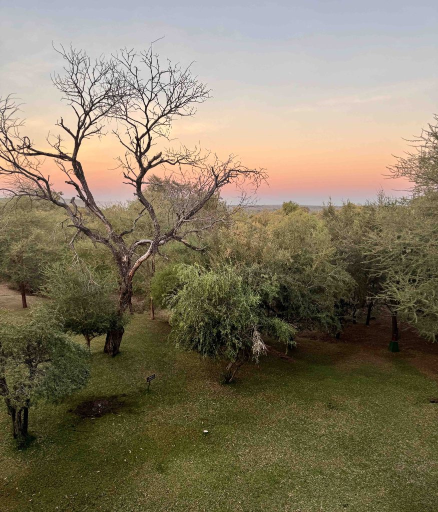 Ilala Lodge, the closest hotel to Victoria Falls