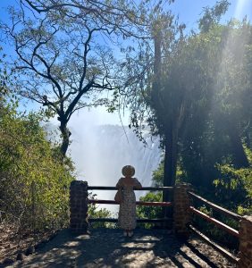 Views to Victoria Falls from the Zambia side
