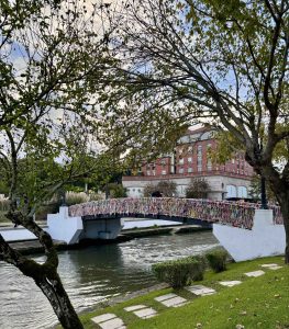 Explore Aveiro in Portugal: 10 Unforgettable Bucket List Experiences