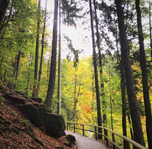 Ravenna Gorge Christmas Market: A Fairytale in Germany’s Black Forest