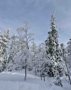 Levi, Lapland: Ultimate Guide to Finland's Winter Wonderland