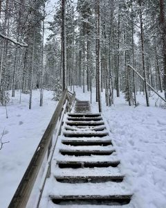 Levi, Lapland: Ultimate Guide to Finland's Winter Wonderland