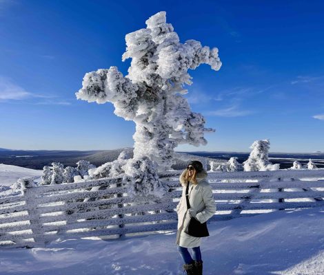 Levi, Lapland: Ultimate Guide to Finland's Winter Wonderland
