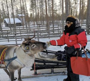 Levi, Lapland: Ultimate Guide to Finland's Winter Wonderland