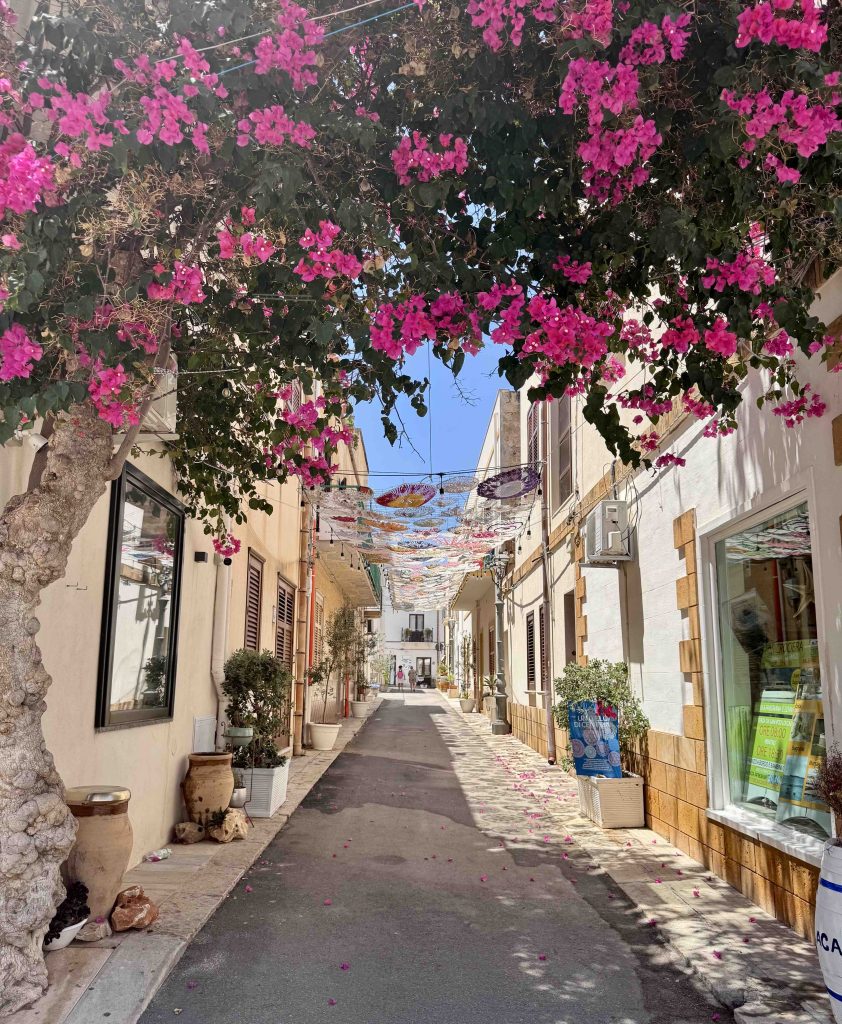 Top Bucket List Experiences in Northern Sicily