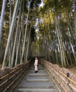 Japan Bucket List for First-Time Travelers