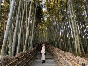 Japan Bucket List for First-Time Travelers
