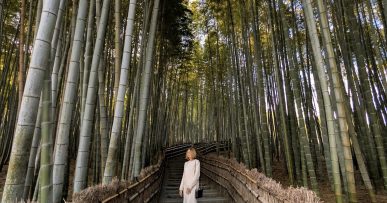 Japan Bucket List for First-Time Travelers