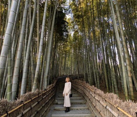 Japan Bucket List for First-Time Travelers