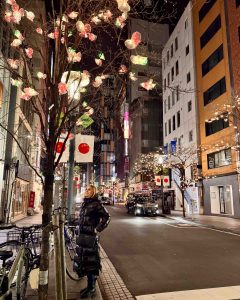 Japan Bucket List for First-Time Travelers