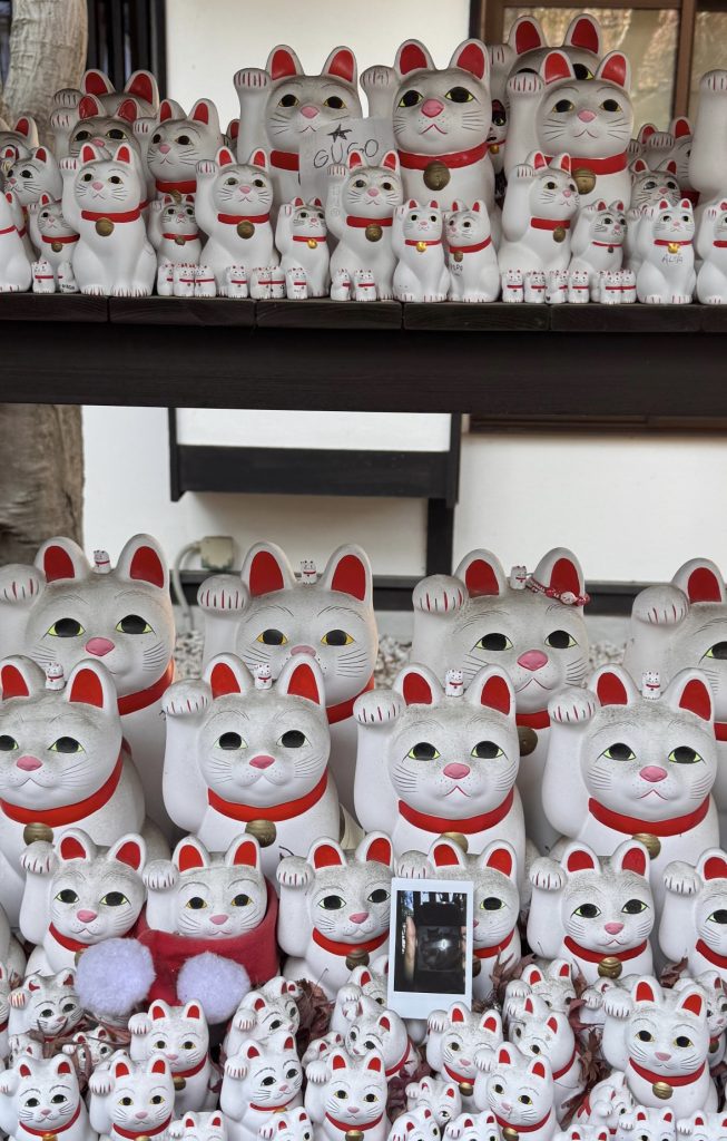 Japan Bucket List for First-Time Travelers