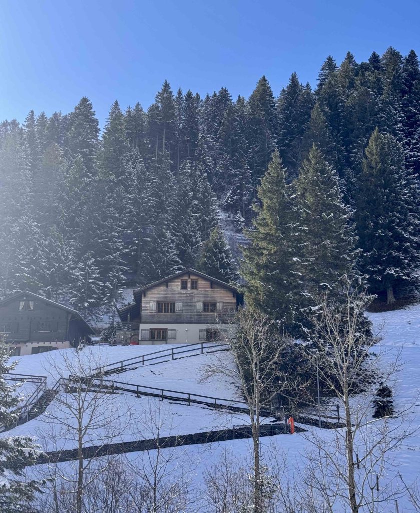 Liechtenstein Bucket List: 8 Unforgettable Alpine Experiences