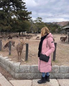 Japan Bucket List for First-Time Travelers