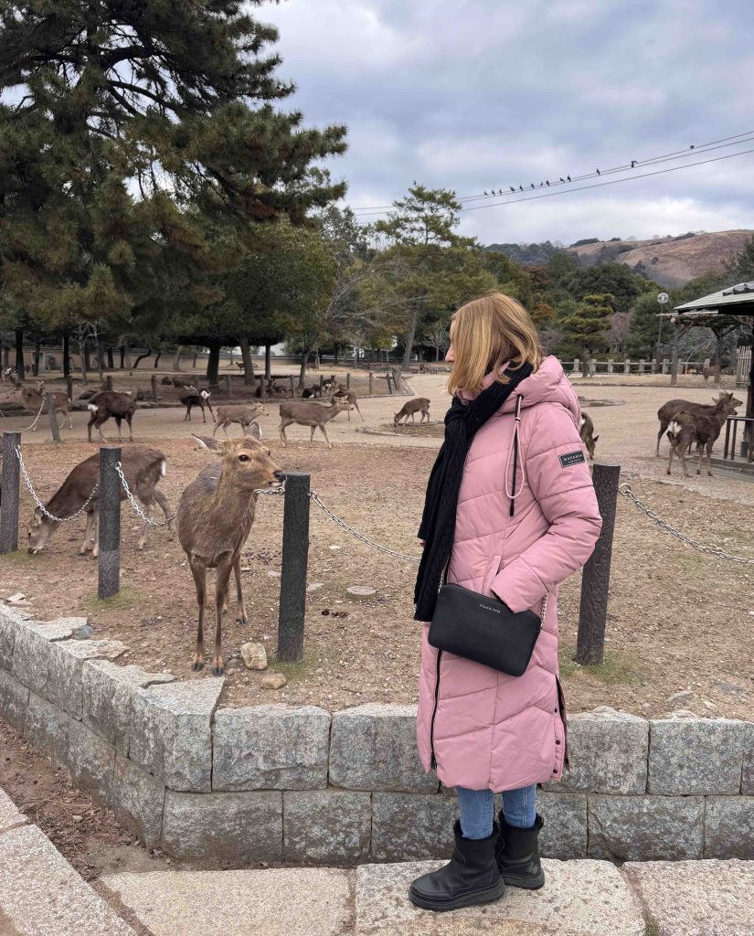 Japan Bucket List for First-Time Travelers