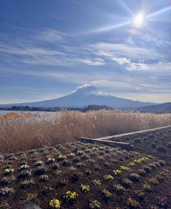Japan Bucket List for First-Time Travelers