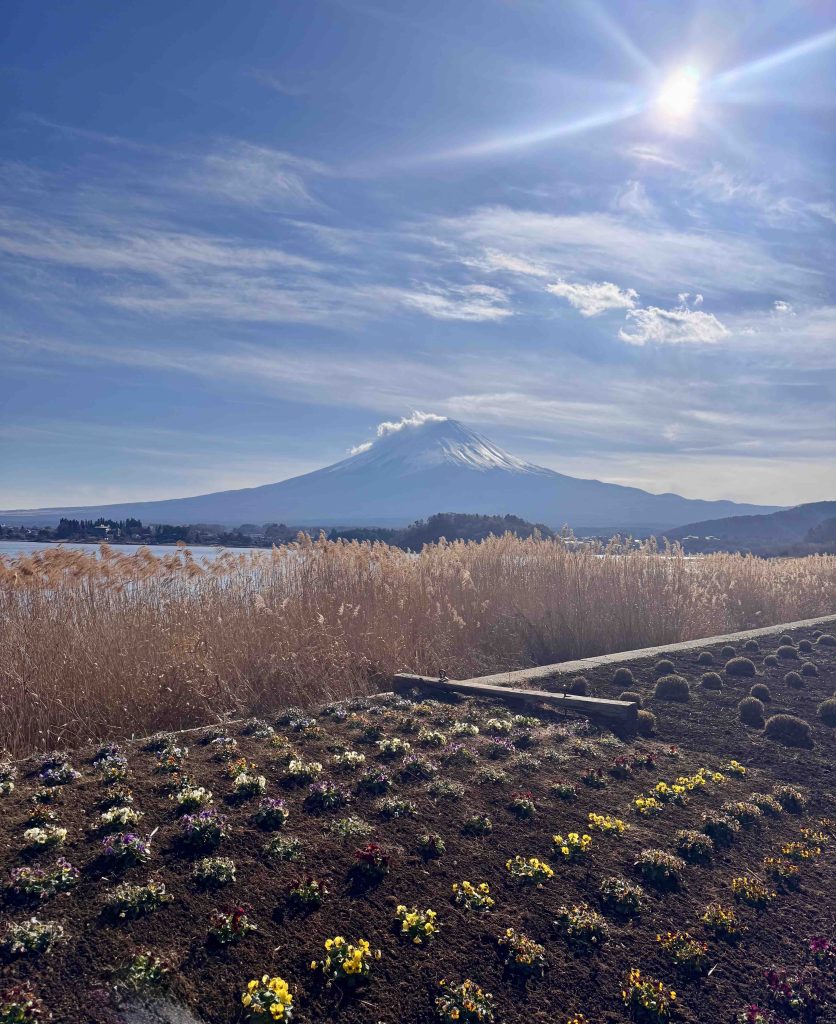Japan Bucket List for First-Time Travelers