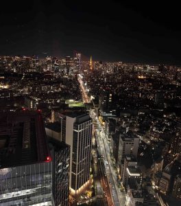 Japan Bucket List for First-Time Travelers