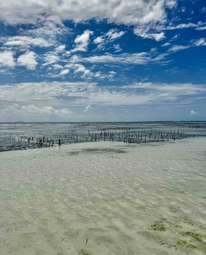 Zanzibar Bucket List: 10 Unmissable Things to Do