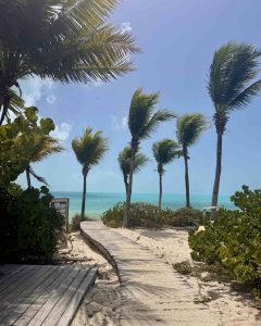 Turks and Caicos Travel Guide: Paradise in Providenciales