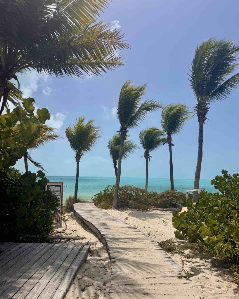 Turks and Caicos Travel Guide: Paradise in Providenciales